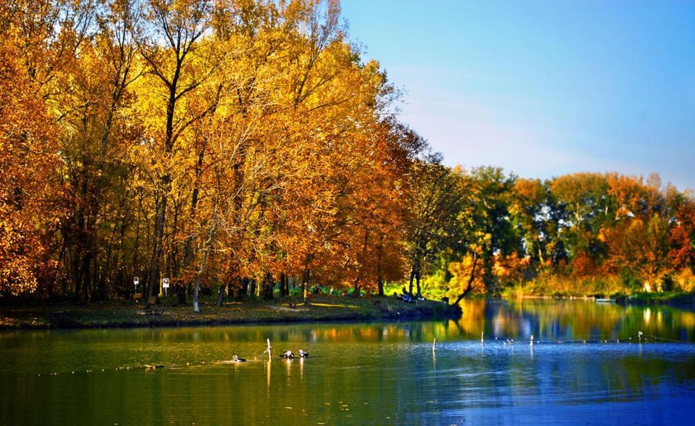 Monia Dream Apartment - Belgrade Lake & Fair Exterior foto